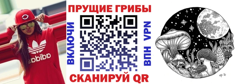 Псилоцибиновые грибы ЛСД  закладка  Ясный 